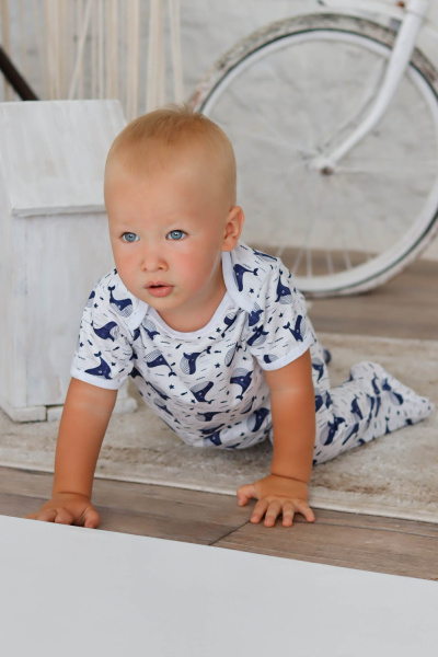 5f905daa-152c-4931-9a6b-7e03727fa4e3