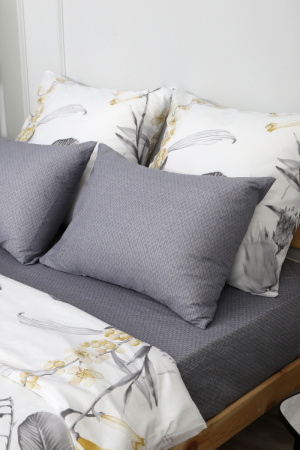 6cbdcde8-1103-448c-8028-d16919281ac6